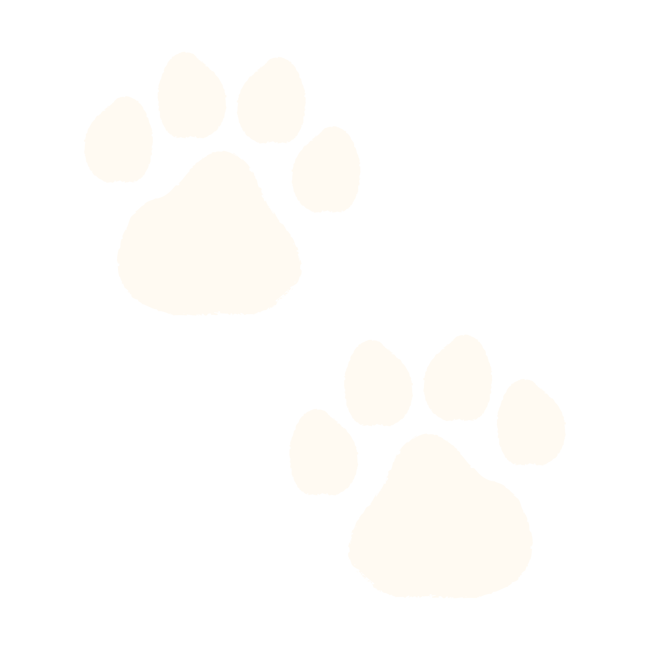Paw (1)